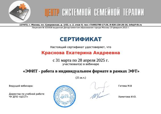 Центр Системной Семейной Терапии ЭФИТ - работа в индивидуальном формате в рамках ЭФТ 2025