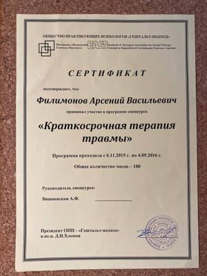 Московский Гештальт Институт Краткосрочная терапия травмы 2015-2016