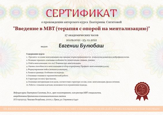 Авторский курс Екатерины Сигитовой, введение в MBT (Терапия с опорой на ментализацию) 2021