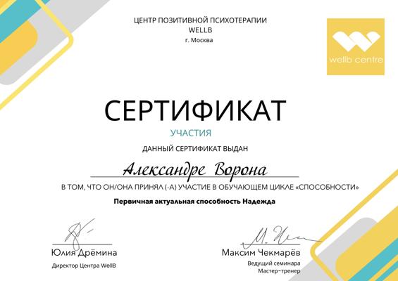 Московский центр позитивной психотерапии Актуальная способность человека «надежда» 2024