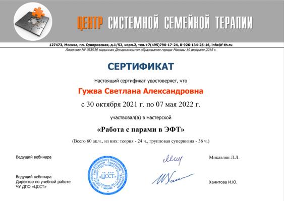 ЦССТ работа с парами в ЭФТ 2021-2022