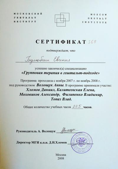 Московский Гештальт Институт, групповая терапия 2007-2008