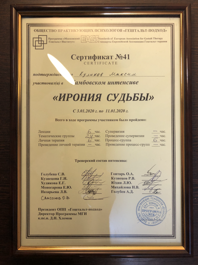 Московский Гештальт Институт Воронежский интенсив 2020