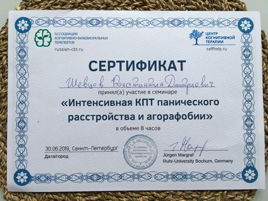 Ассоциация когнитивно-бихевиоральных терапевтов Интенсивная когнитивной-поведенческая психотерапия панического расстройства и агорафобии 2019