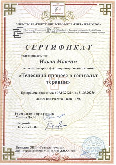 Московский Гештальт Институт Телесный процесс в Гештальт-терапии 2022-2023