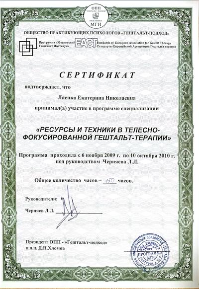 Московский Гештальт Институт Телесно-фокусированная терапия 2009-2010