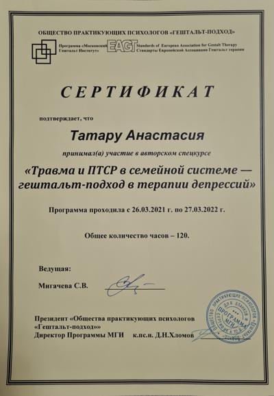Московский Гештальт Институт Травма и ПТСР в симейной системе - гештальт-подход в терапии депрессий. 2021-2022