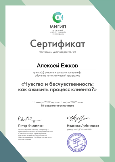 МИГИП Сертификат участия 2022