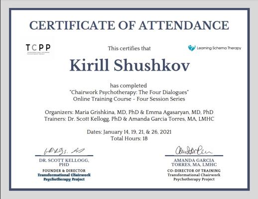 USA, Transformational Chairwork Psychotherapy Project (DR. SCOTT KELLOGG, PHD) схематерапия 2021