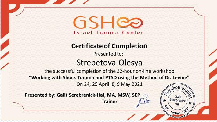 "GSH Israel Trauma Center" Работа с шоковой травмой и ПТСР  2021