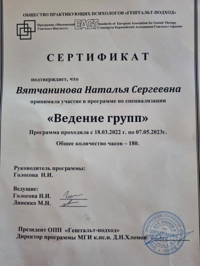 Московский гештальт-институт  Ведение групп 2022-2023