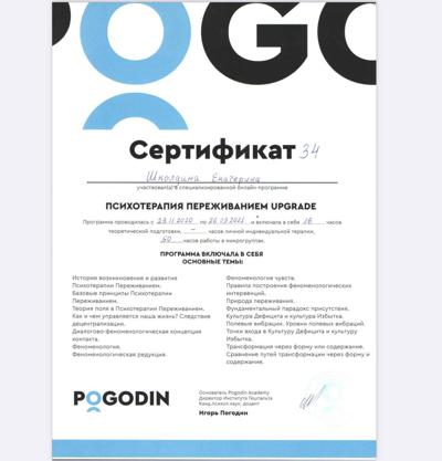 Pogodin Academy Диалогово-феноменологическая модель психотерапии 2020-2021