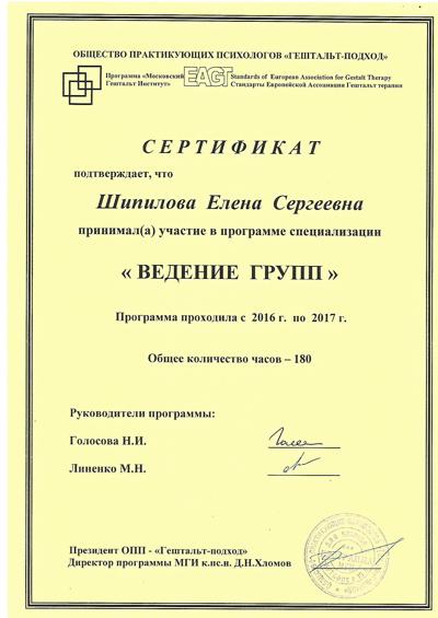 Московский Гештальт Институт Ведение групп 2016-2017