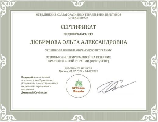 SFTEAM RUSSIA Основы ориентированной на решение краткосрочной терапии (ОРКТ/SFBT), 90 ч 2022