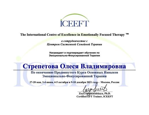 "ICEEFT" в сотрудничестве с "ЦССТ" ЭФТ практик 2020-2021