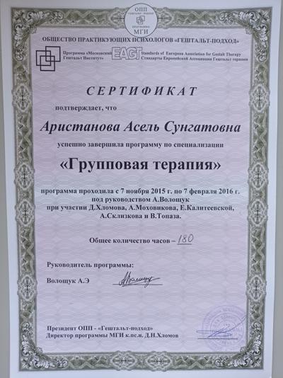 Московский Гештальт Институт Групповой терапевт 2015-2016