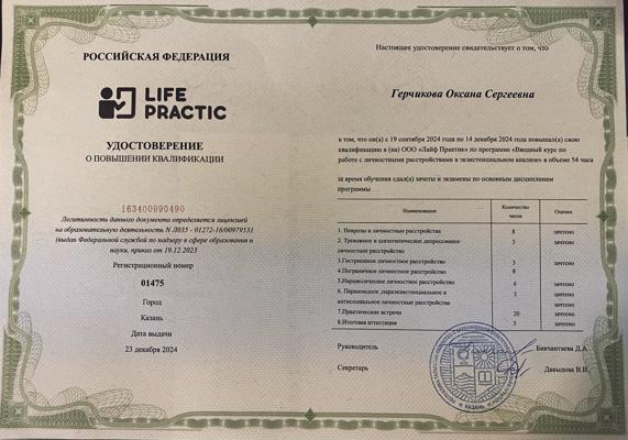 Life Practic  Экзистенциальный аналитик 2024